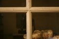 Petite vitrine peinte