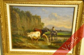 les animaux s'abreuvent